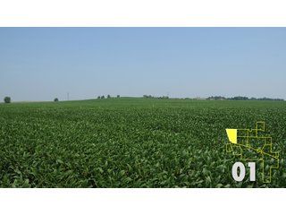Property photo 5 - Land Auction - 3,379 Acres in 48 Tracts, 2,900 Acres Tillable, Large Contiguous Tracts - Investment Potential